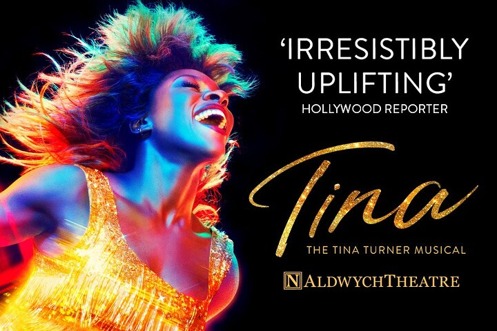 Tina Turner Theater Show Tickets - Photo 1 of 11